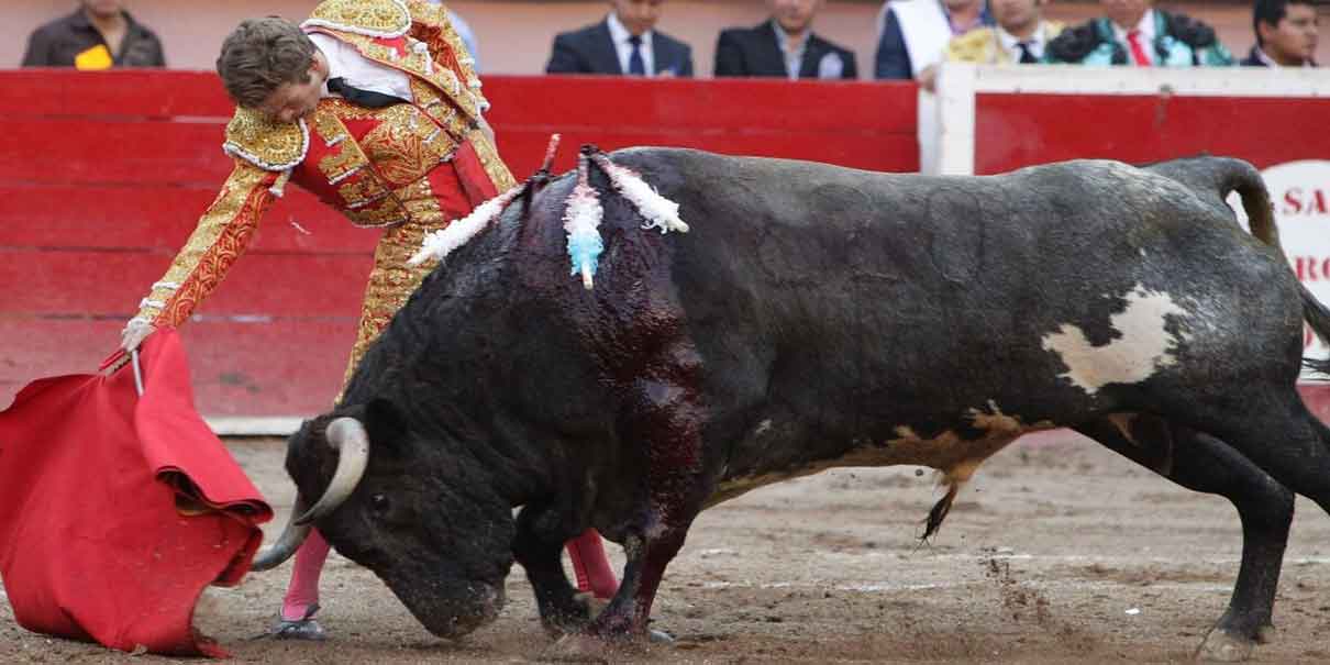 Aguascalientes declara corridas de toros y peleas de gallos como patrimonio cultural