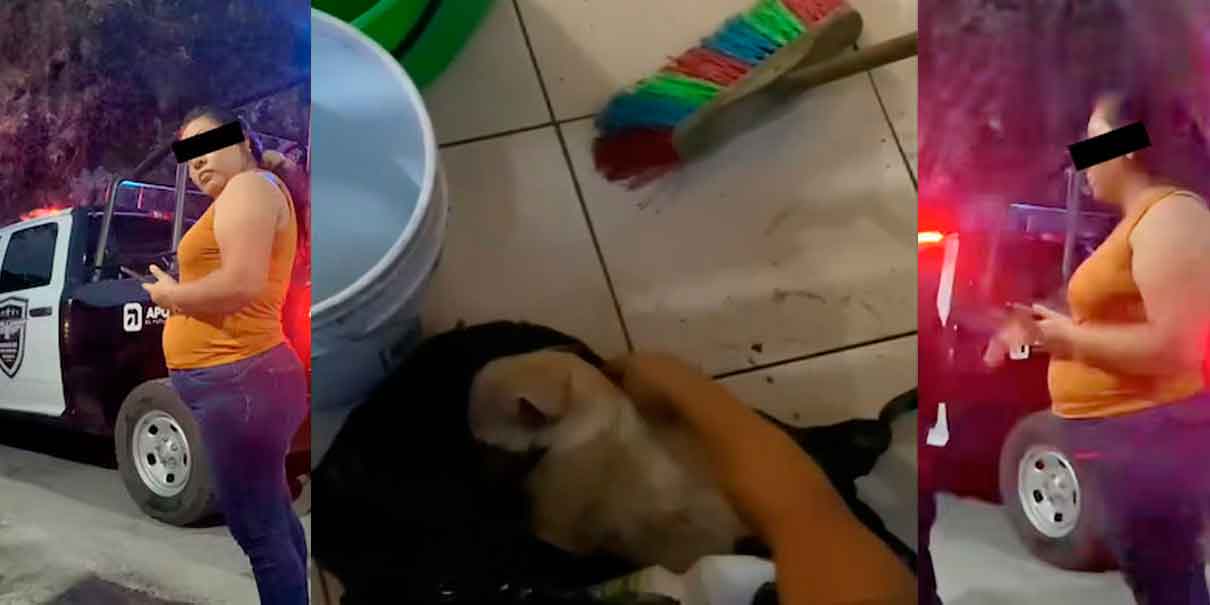 Mujer asfixia a cachorro con cloro dentro de una bolsa en Nuevo León