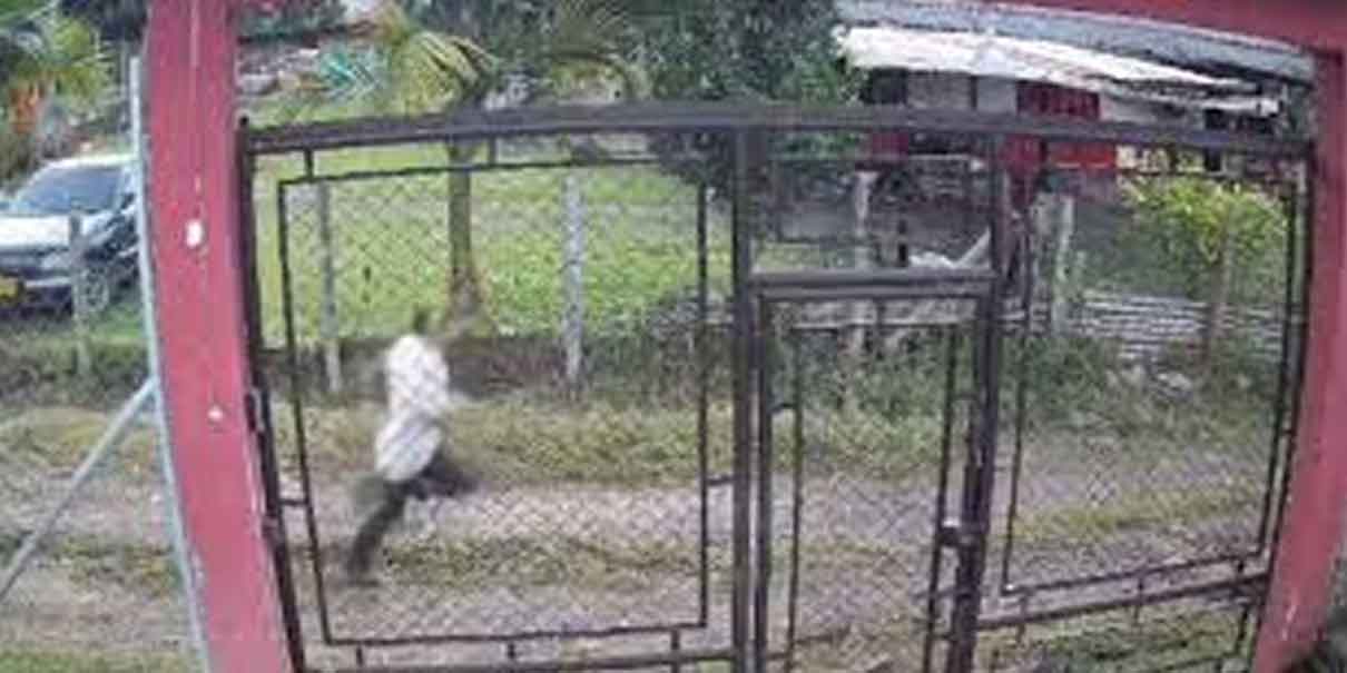 Padrastro terminado linchado tras intentar violar a menor de edad en Chinchiná