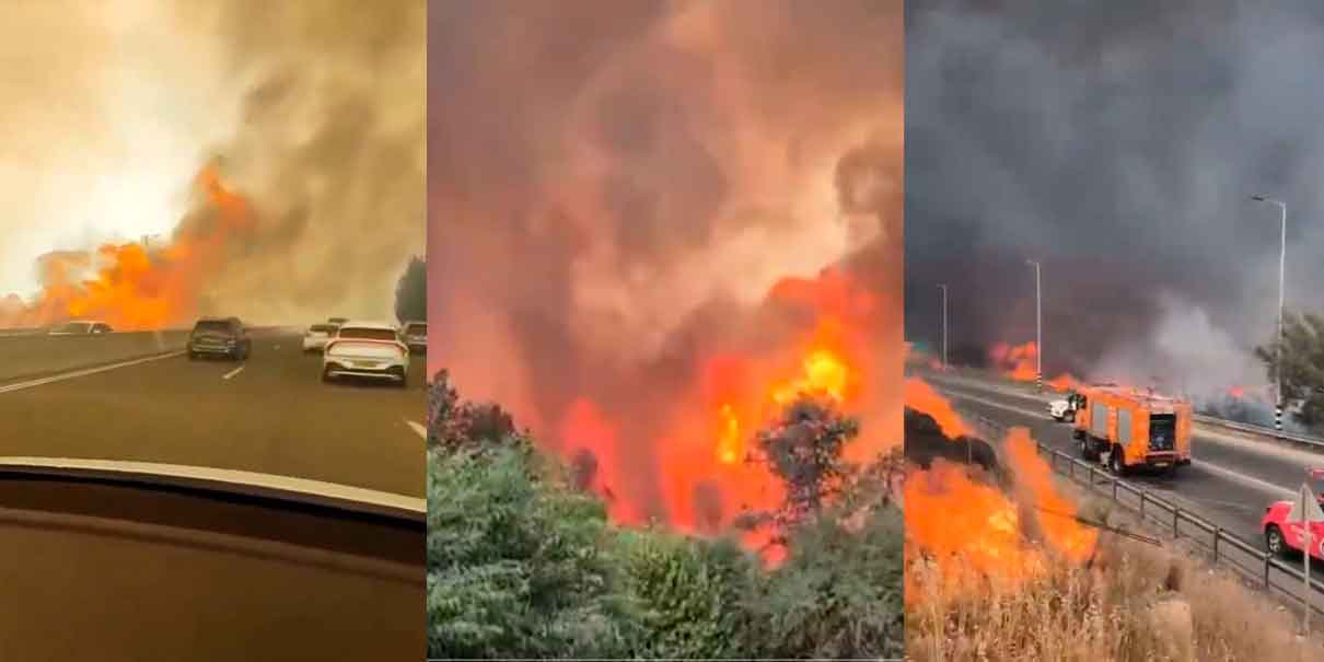 VIDEOS. Incendios forestales amenazan Jerusalén: Israel declara emergencia nacional