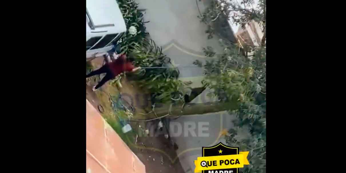 IMAGENES SENSIBLES. Mujer cuelga a un perro como castigo en Tulancingo