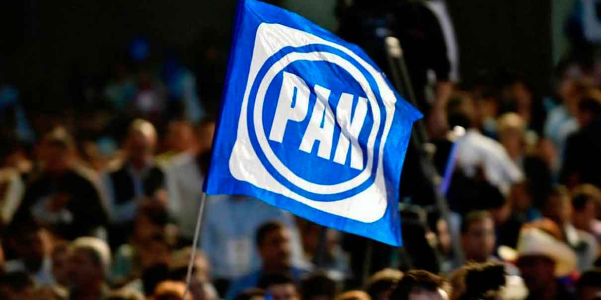 Los mapaches de Acción Nacional