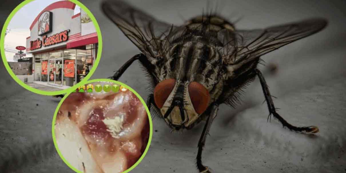 Usuaria de TikTok denuncia huevos de mosca en pizza de Little Caesars 