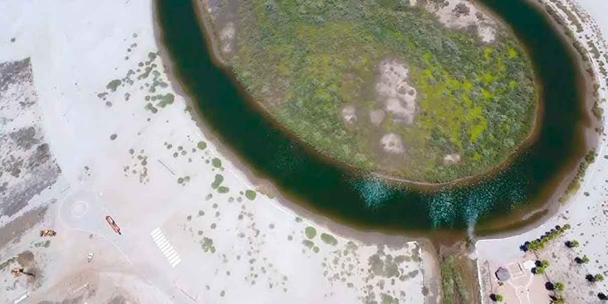 Destruyen manglar protegido en Isla Cortés para construir fraccionamiento sin permisos