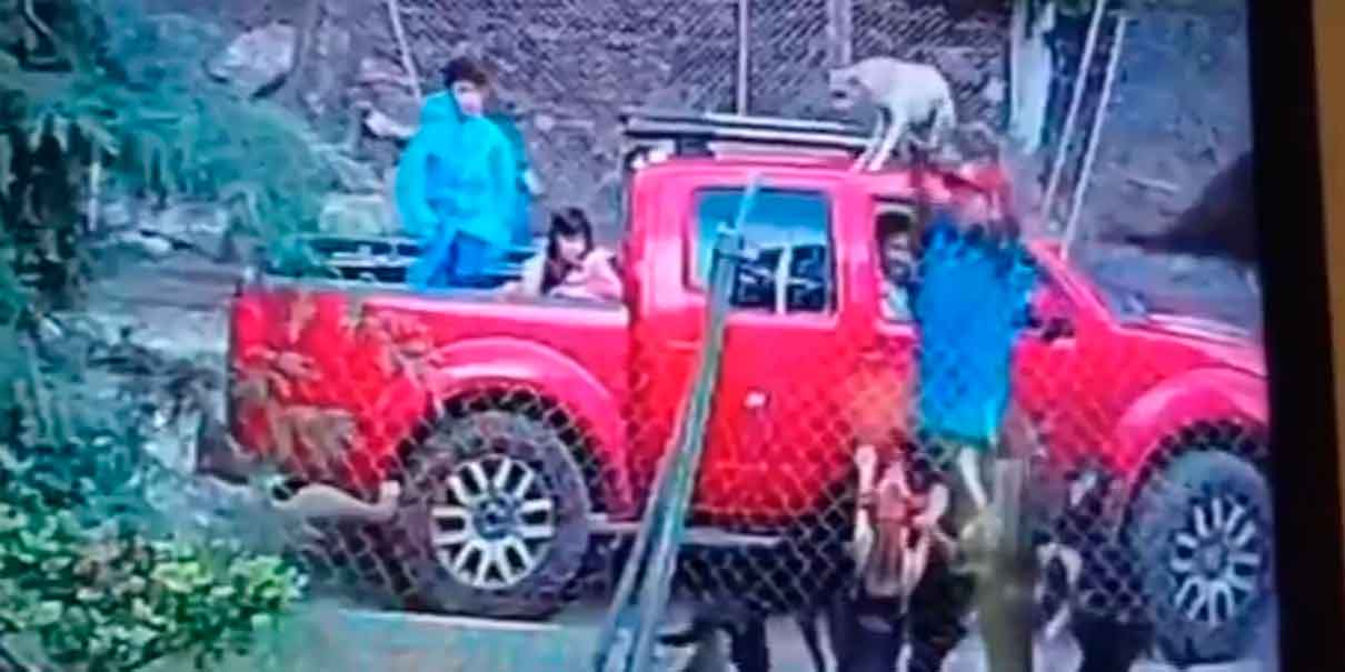 IMÁGENES SENSIBLES. Cachorro arrojado por una familia muere tras ser atacado en refugio