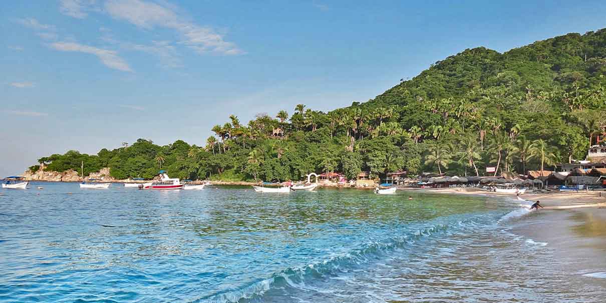 Playas Mx: nueva app del gobierno permite consultar en tiempo real la calidad del agua en playas mexicanas