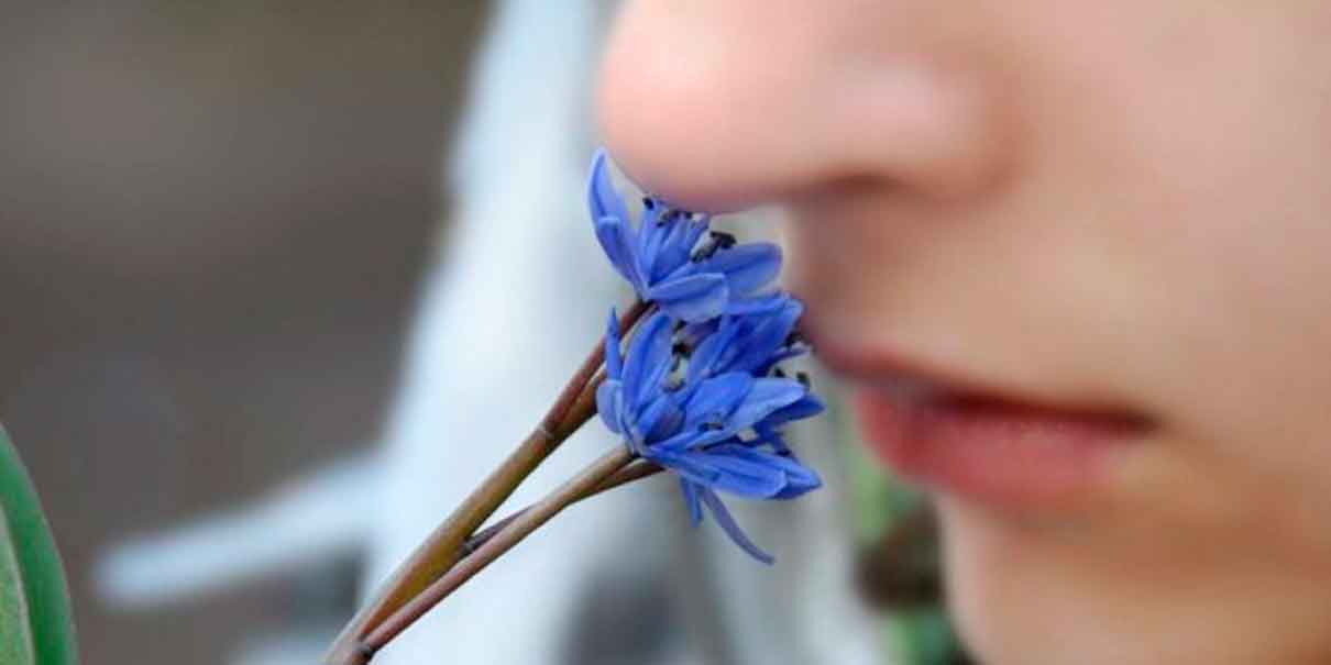 La huella respiratoria nasal: ¿la nueva firma biométrica humana?