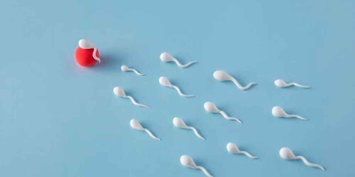 Cómo mejorar la calidad del SEMEN: hábitos saludables y consejos médicos
