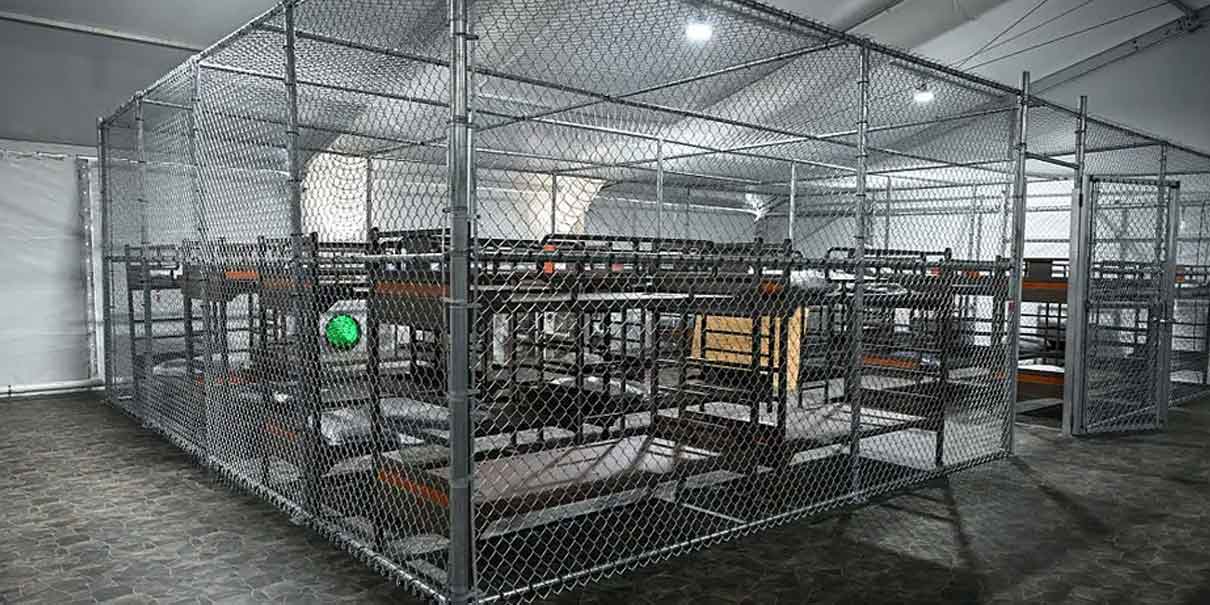 Sheinbaum confirma 81 mexicanos detenidos en Alligator Alcatraz