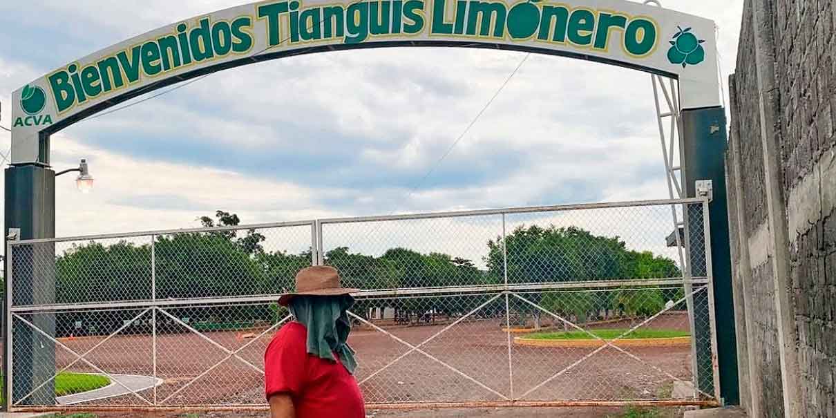 Los Viagras duplican la extorsión a productores de limón de Michoacán