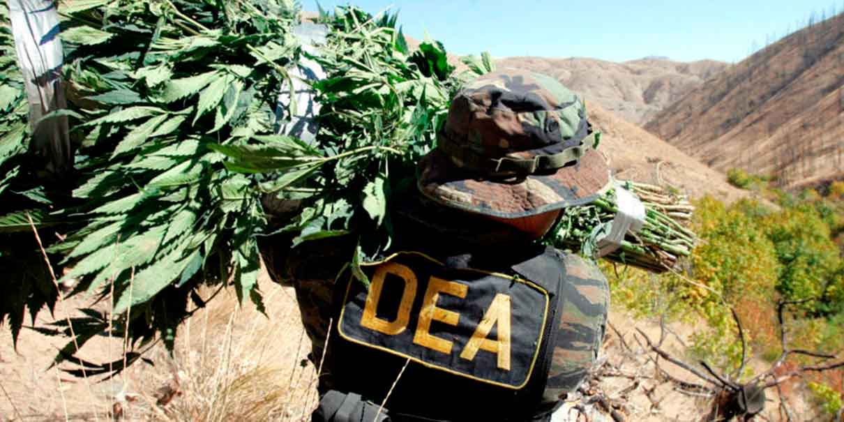 DEA desmantela red del Cártel de Sinaloa en 40 países: hay 617 detenidos 