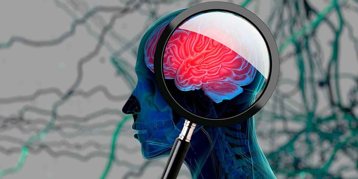 Descubren neuronas que podrían apagar el dolor crónico: un avance que cambia la neurociencia