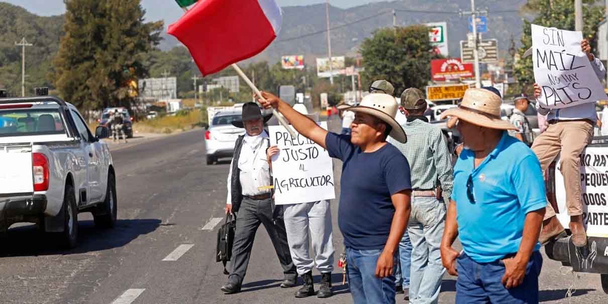 Gobierno  pacta apoyos y revisión de precio del maíz con agricultores