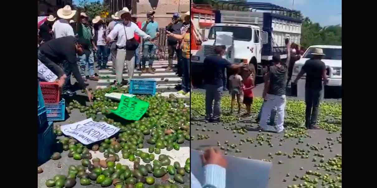 VIDEOS. "Lo quieren regalado, ahí esta". Productores de limón y aguacate tiran sus cosechas por bajos precios