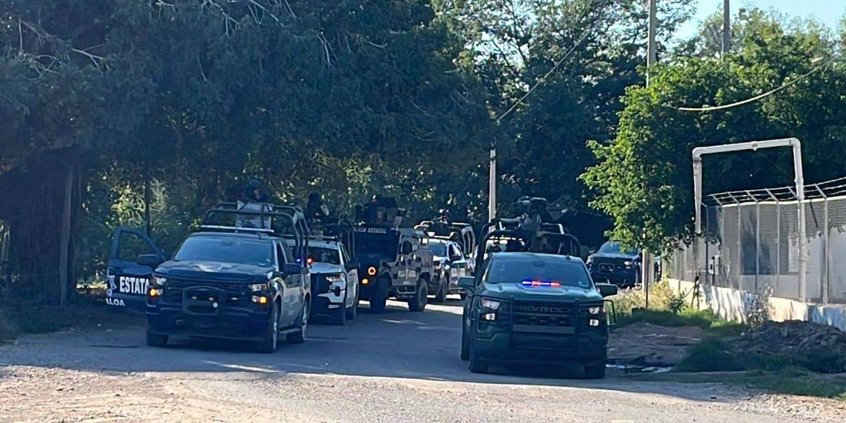 13 muertos y cuatro detenidos en enfrentamiento en Guasave; liberan secuestrados