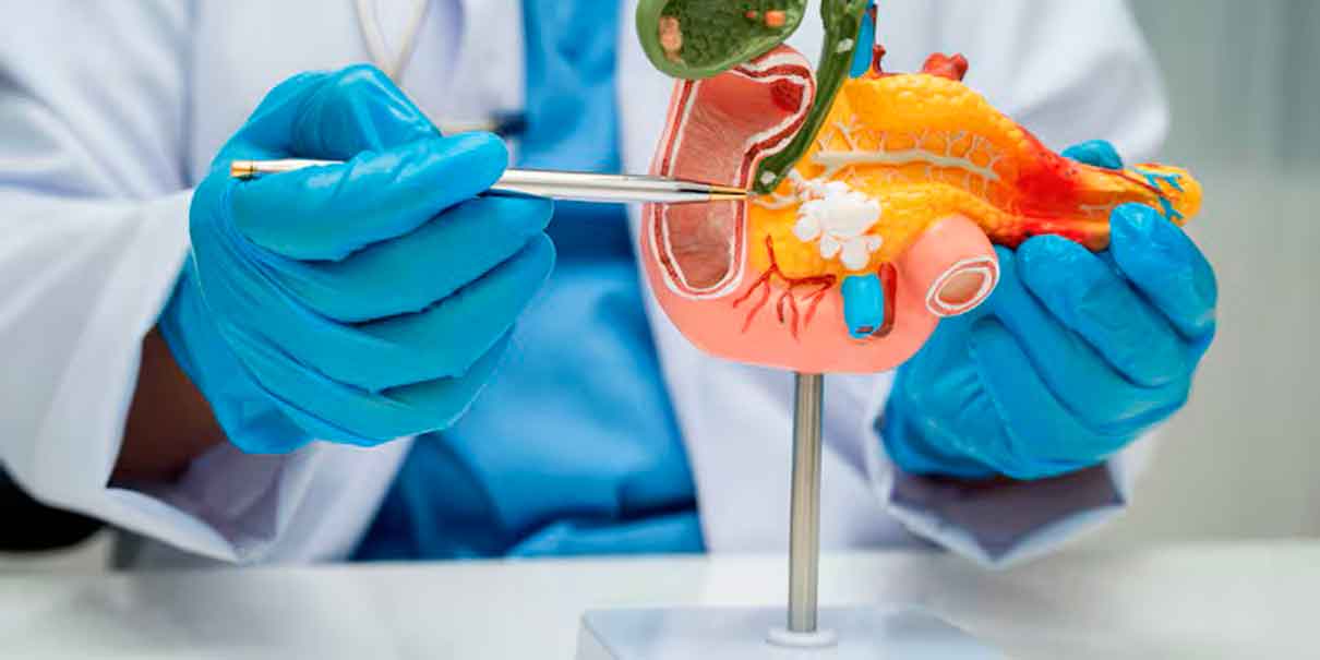 Avance histórico: científicos logran eliminar CÁNCER de páncreas en RATONES