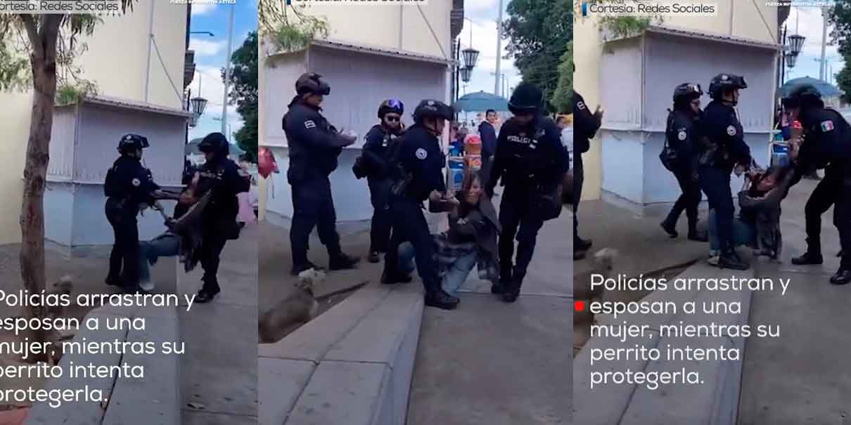 Polémica en Oaxaca. Perro defiende a su dueña de abuso policial