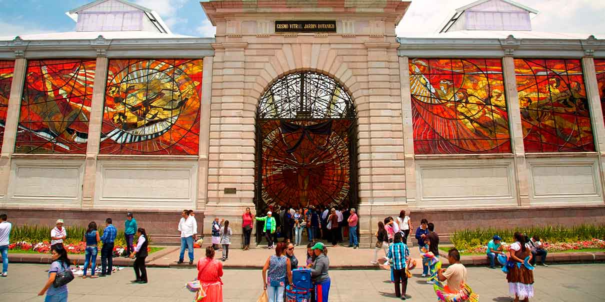 Por qué el Cosmovitral de Toluca es una visita obligada en el Estado de México