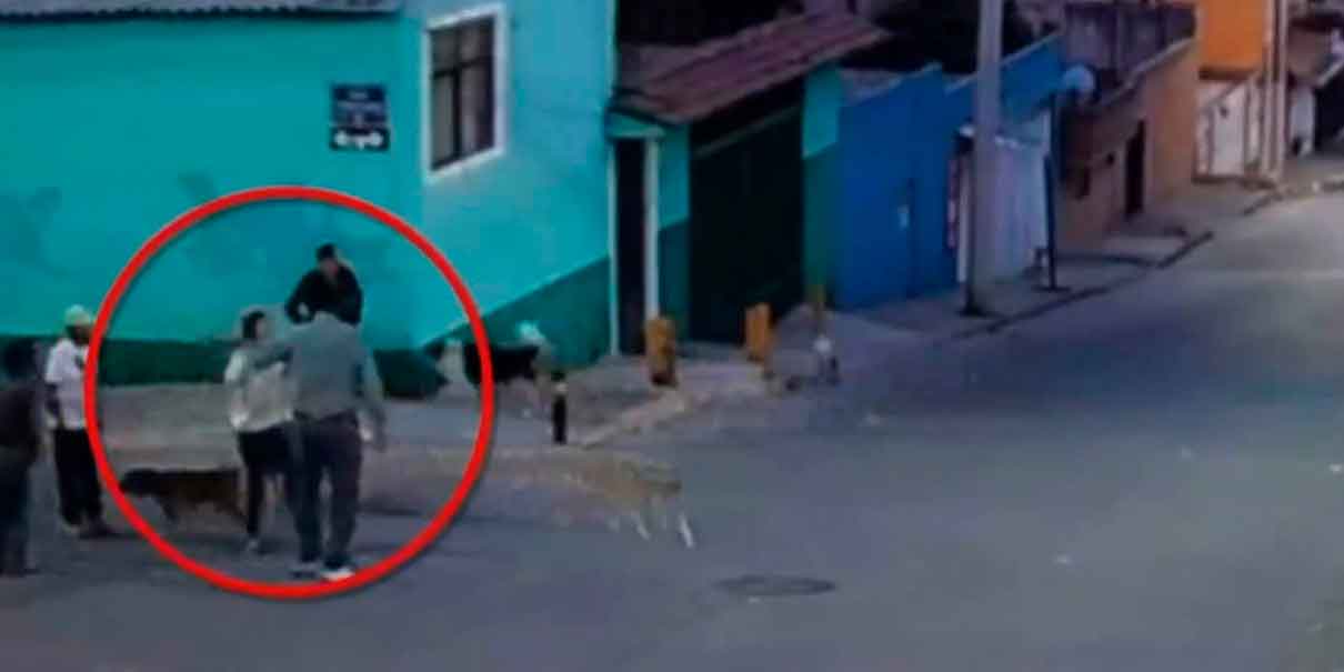 IMÁGENES SENSIBLES. Mujer es atacada con machete por defender perros en Puebla