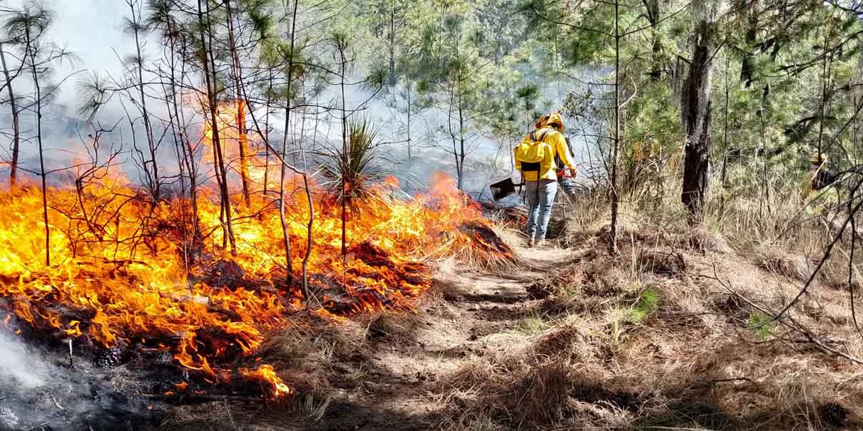 Detienen ecocidas por incendios intencionales en Libres y Citlaltépetl