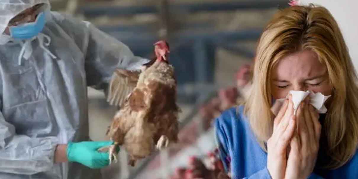 Detectan primer caso de gripe aviar humano en México; Salud asegura que el riesgo es bajo