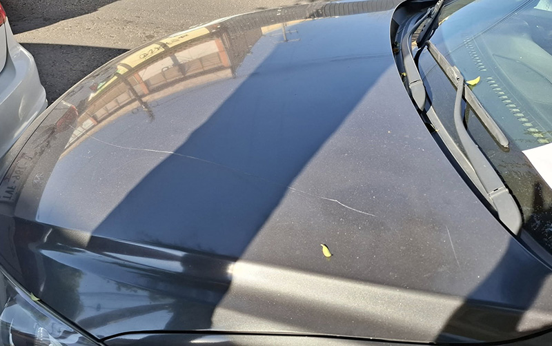 Acusan a maestras del Colegio Loreto de difamación tras falsas acusaciones de acoso