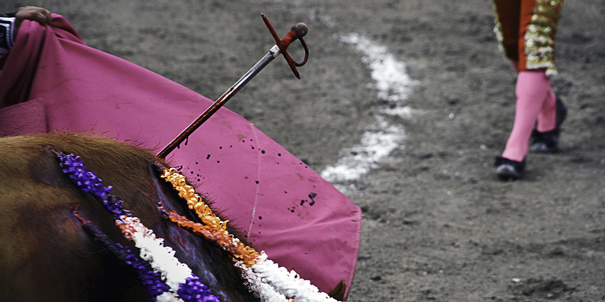 Jueza prohíbe instrumentos de tortura en la Plaza de Toros México
