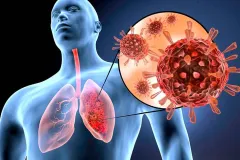 Electrodomésticos domésticos aumentan riesgos por partículas ultrafinas en interiores