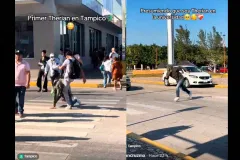 VIDEO. ¿Maltrato animal? Therian cocodrilo es pateado en Tampico