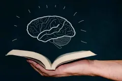 Leer LIBROS transforma tu CEREBRO: la ciencia revela sus beneficios