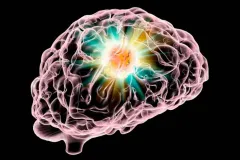 La testosterona podría ayudar a frenar uno de los cánceres cerebrales más agresivos