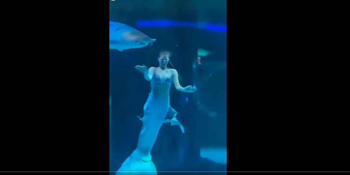 VIDEO. Sirena es atacada por enorme pez en acuario de China