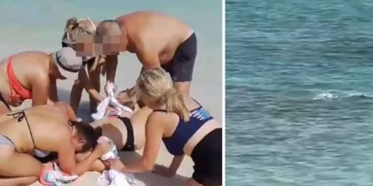 Tiburón ataca a turista y la dejó sin brazos en las Islas Turcas y Caicos 