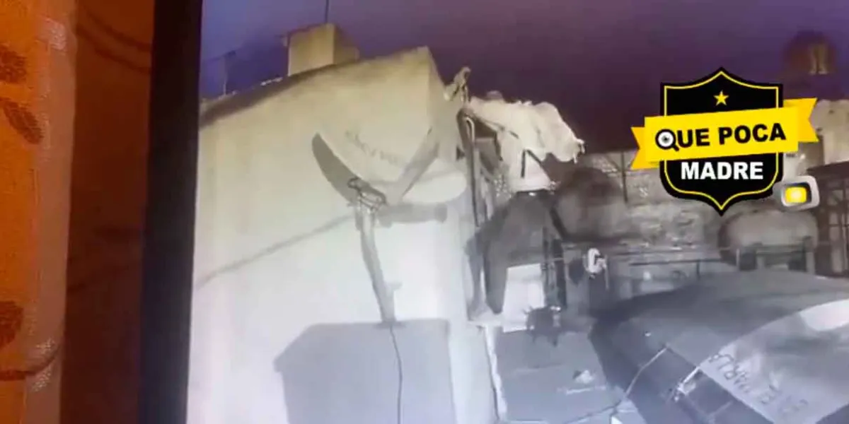 VIDEO. Perro guardián logra intimidar a ladrón y frustra robo en Puebla 