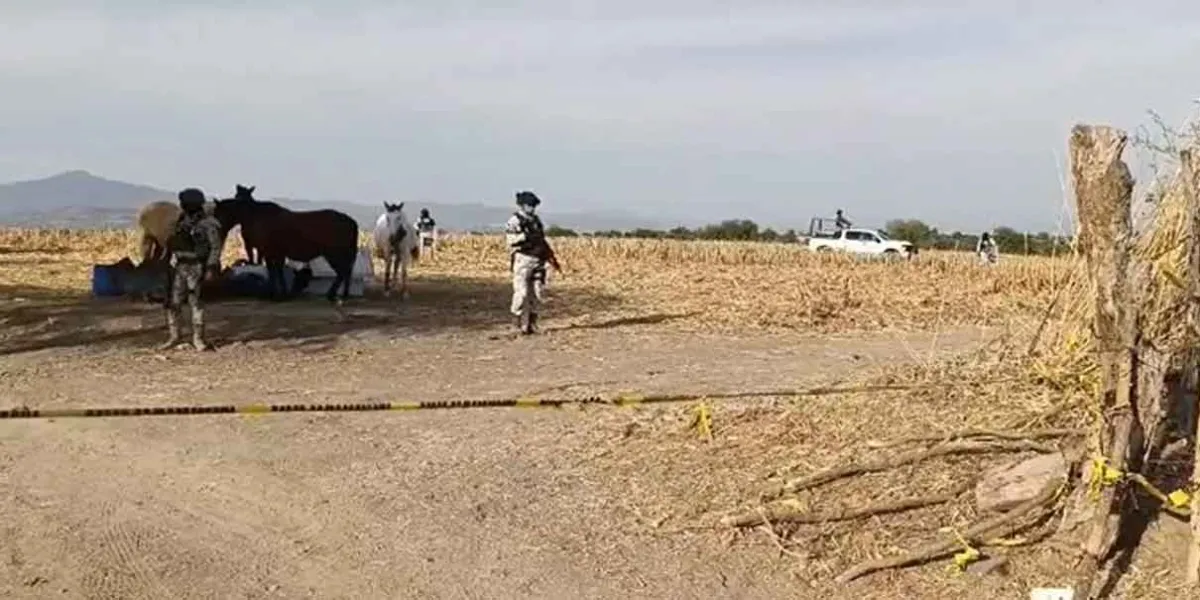 Rancho La Vega: Nuevo escenario en la investigación de reclutamiento en Teuchitlán