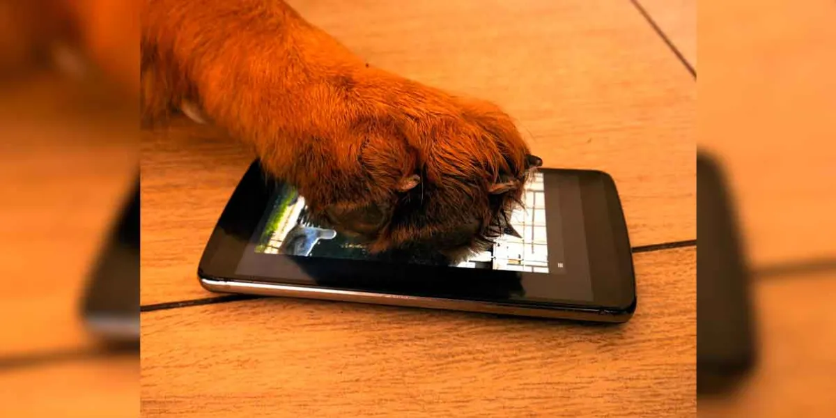 Conoce PetPhone, el primer celular para mascotas