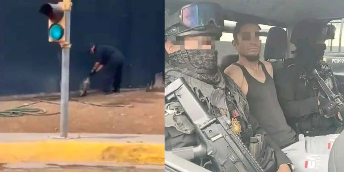IMÁGENES SENSIBLES. Detienen a sujeto que mató a Tlacuache al azotarlo varias veces contra el piso en Monterrey 