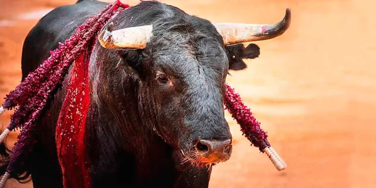 La CDMX aprueba las corridas de toros sin violencia