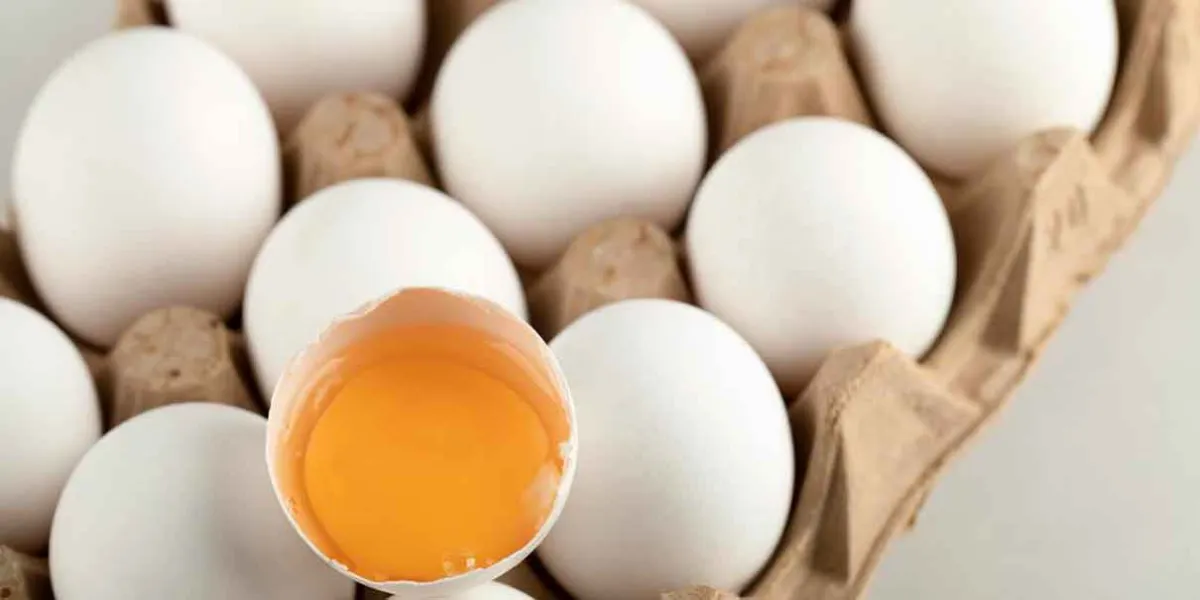 México satisface la demanda de huevo en EU tras duro golpe de gripe aviar 