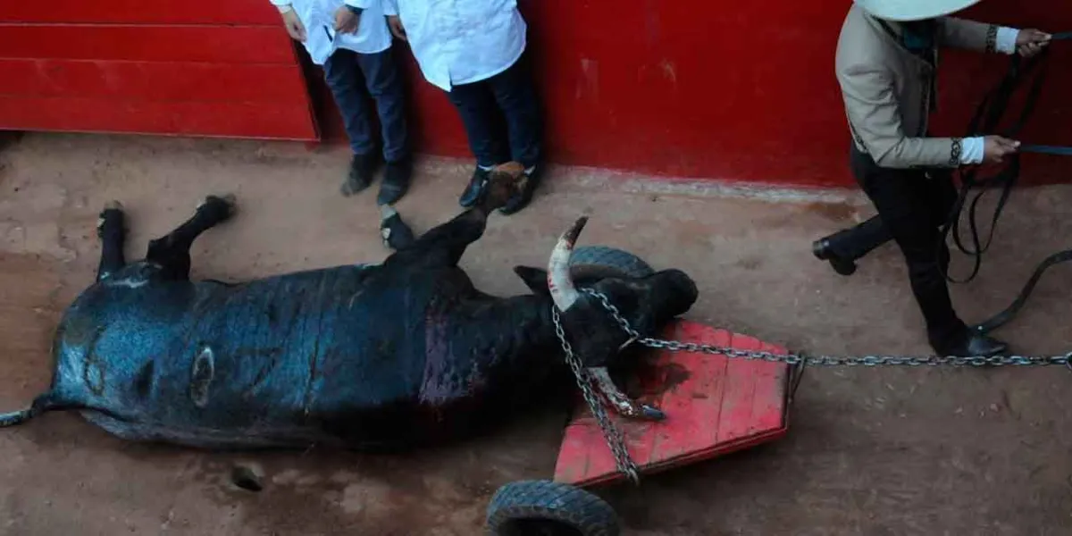 Seguirán las corridas de toros en la CDMX pero sin violencia y sin muerte 