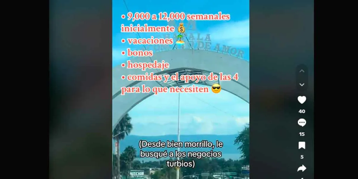 VIDEO. CJNG utiliza TikTok para reclutar jóvenes: 39 cuentas eliminadas