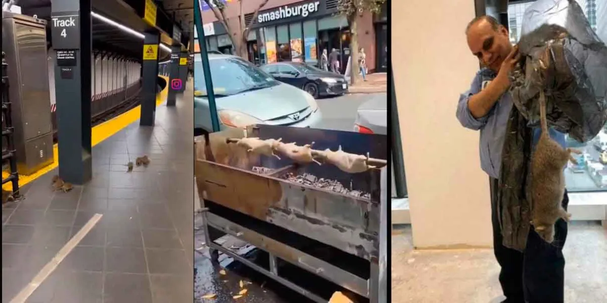 VIDEO. Personas en situación de calle comen ratas en Nueva York 
