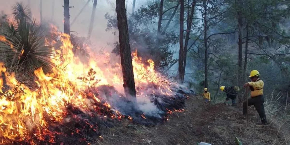 Detienen ecocidas por incendios intencionales en Libres y Citlaltépetl
