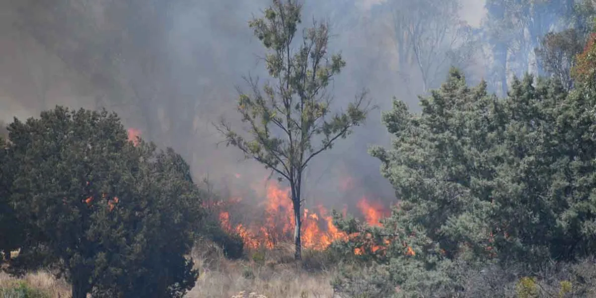 Se agrava situación de incendios en Puebla; Libres y Tlachichuca, con fuego fuera de control