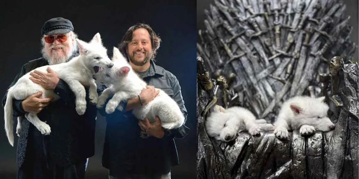 ¿Volvieron los lobos huargos? La verdad detrás de Rómulo, Remo y Khaleesi