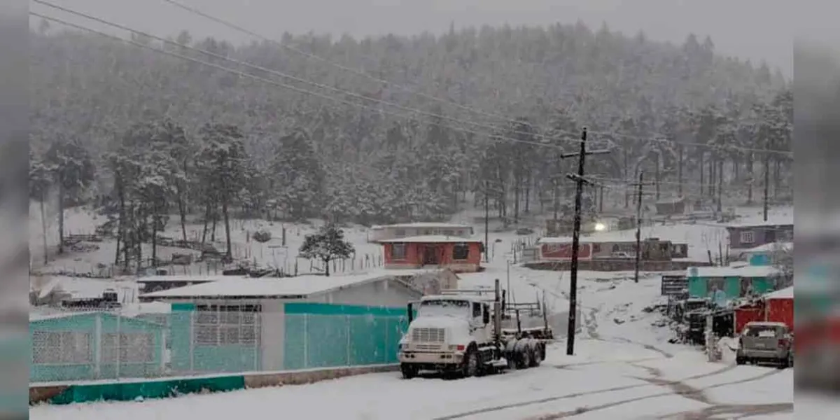 VIDEO. Tormenta invernal cubre de nieve a comunidades de Durango