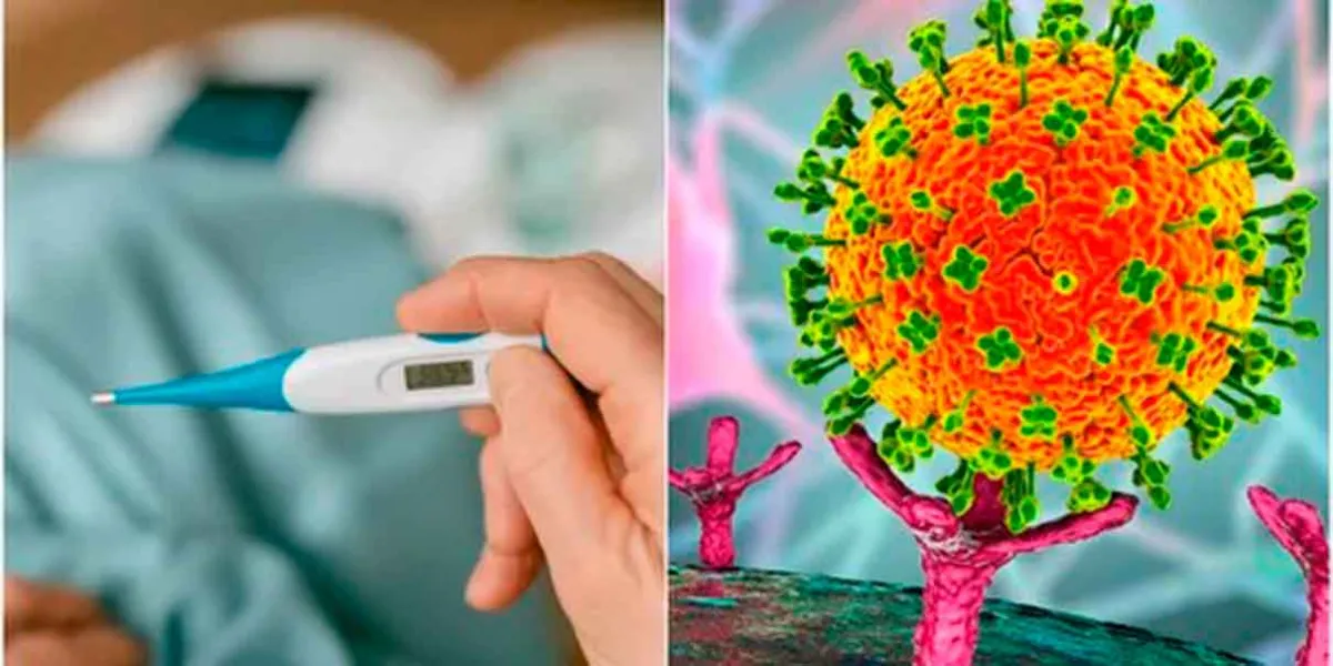 Virus Nipah en India enciende alertas sanitarias por su alta letalidad