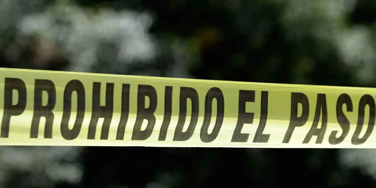 Ciudadano danés detenido en el Malecón de Veracruz por intentar llevarse a una niña de 7 años