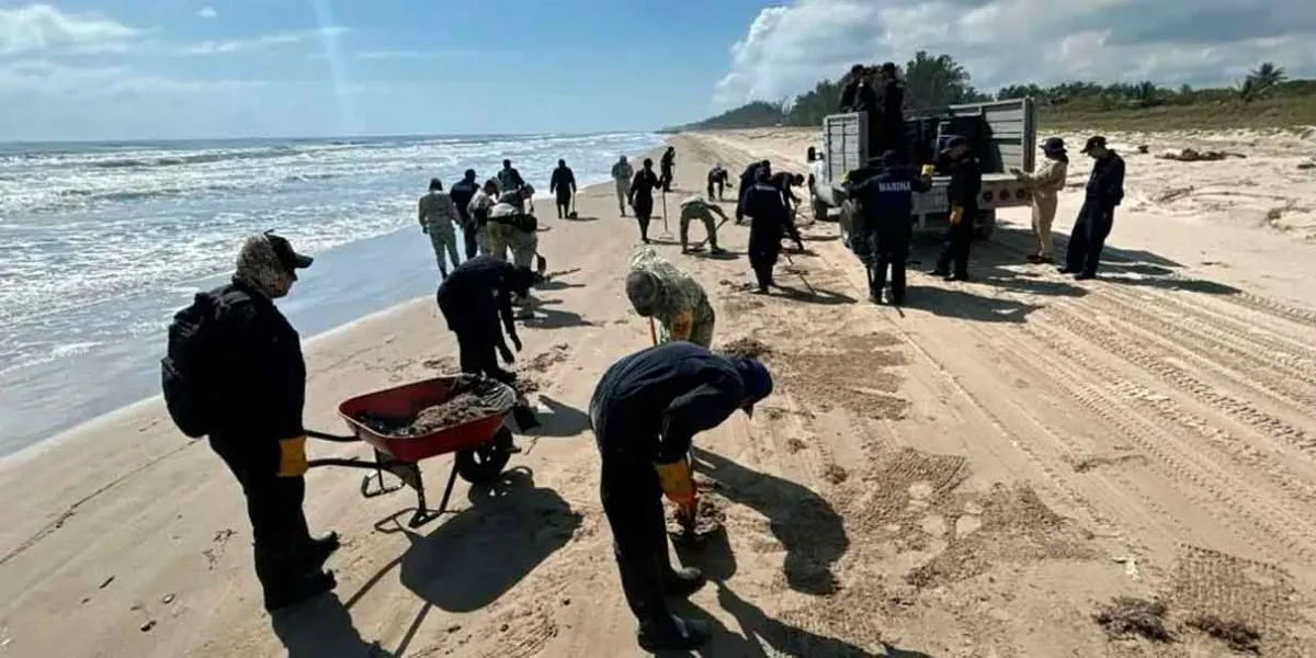 Detectan hidrocarburo en zonas protegidas del Golfo de México