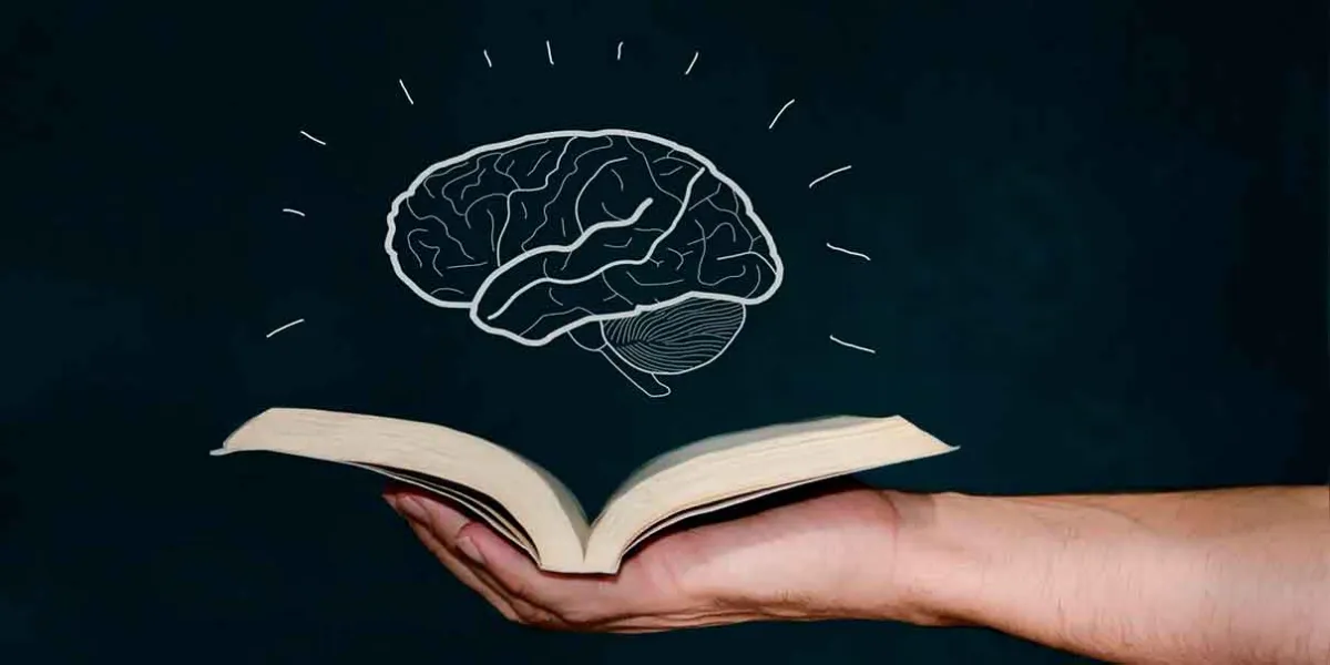 Leer LIBROS transforma tu CEREBRO: la ciencia revela sus beneficios